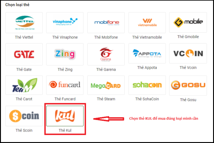 doi the cao online 